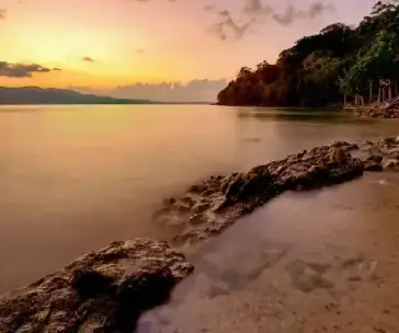 Dolphin Glass bottom Ride