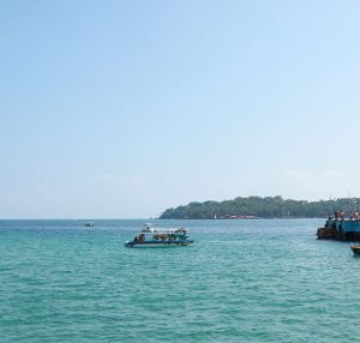 Dolphin Glass bottom Ride