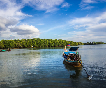 Dolphin Glass bottom Ride